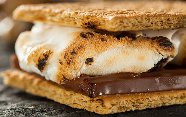 S’mores aux marshmallows1